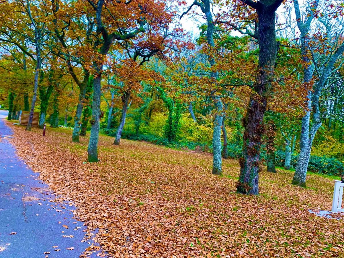 Forest Haven Sway Εξωτερικό φωτογραφία