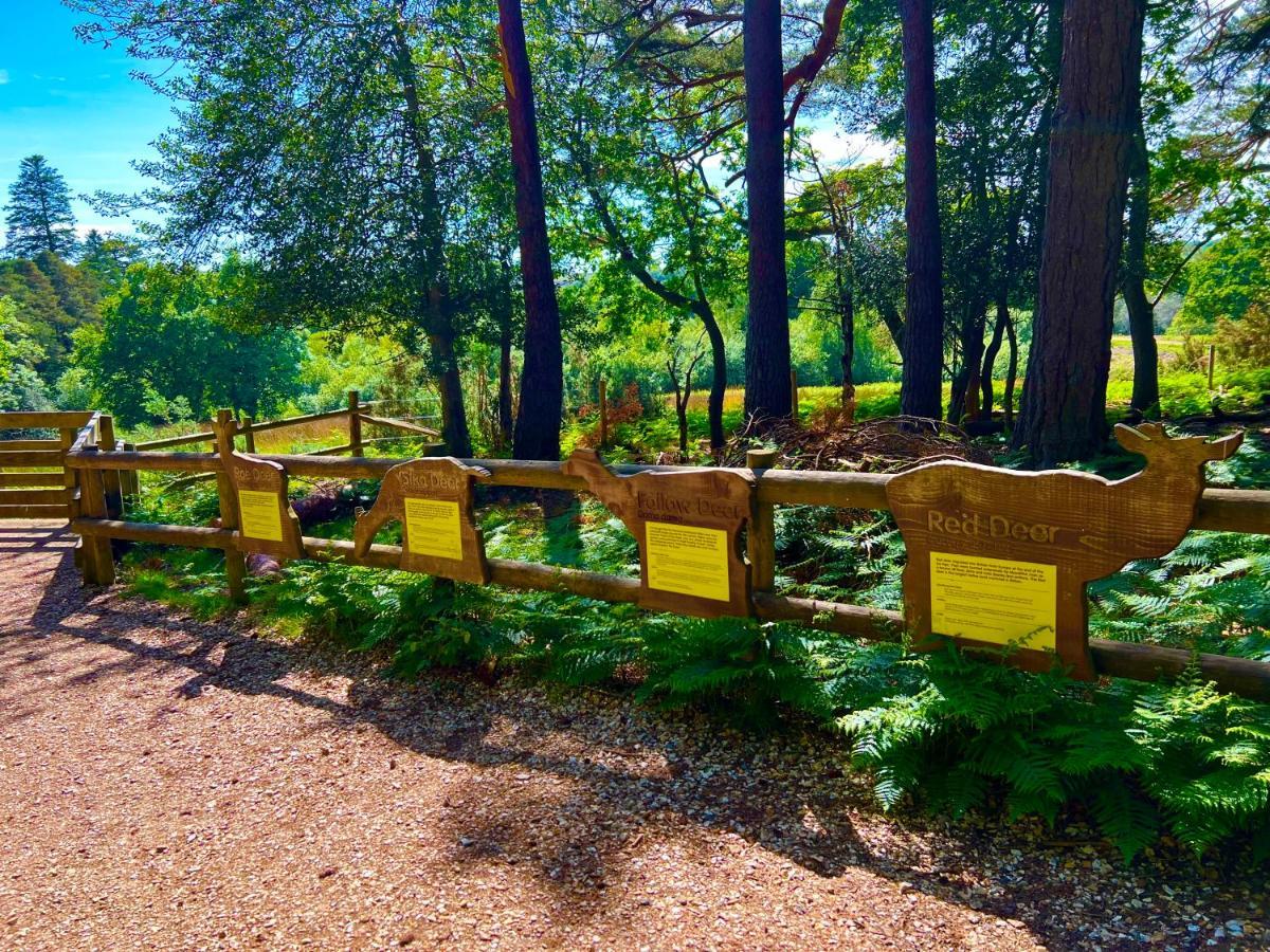 Forest Haven Sway Εξωτερικό φωτογραφία